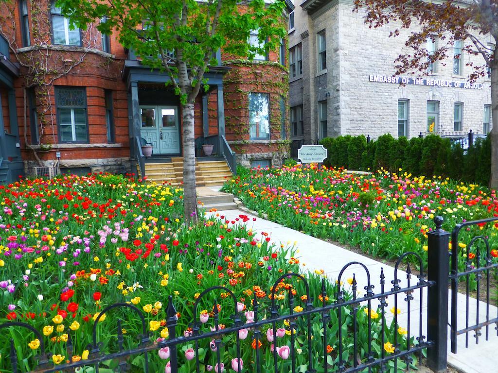 Auberge King Edward Bed And Breakfast Ottawa Pokój zdjęcie