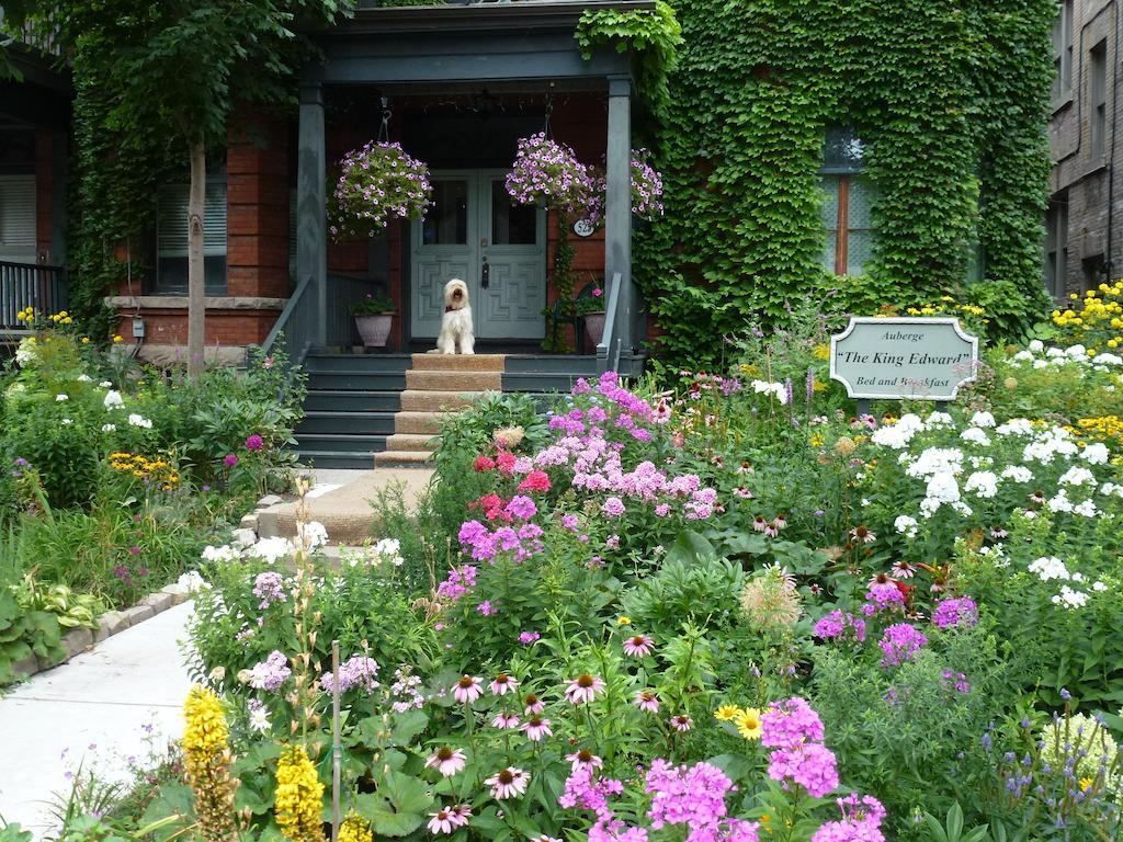 Auberge King Edward Bed And Breakfast Ottawa Zewnętrze zdjęcie