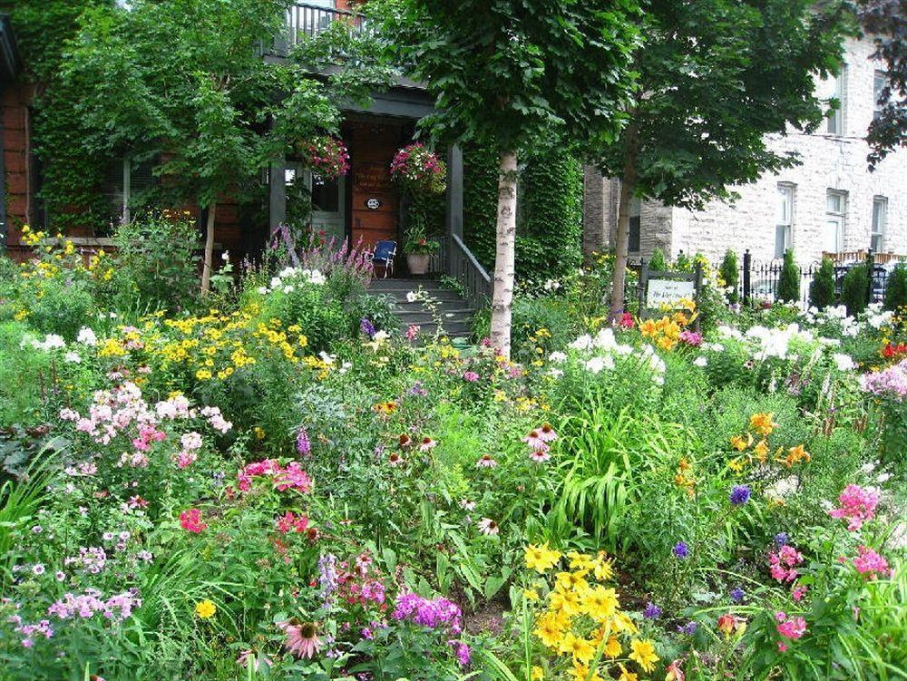 Auberge King Edward Bed And Breakfast Ottawa Zewnętrze zdjęcie